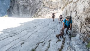 Steinbockbaby Alexa Zwölferkogel Wanderung