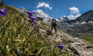 Weisshorn-Überschreitung Zustieg Tracuit Hütte Bishorn