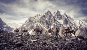 Karawanen im Karakorum