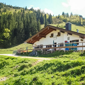 gori-alm